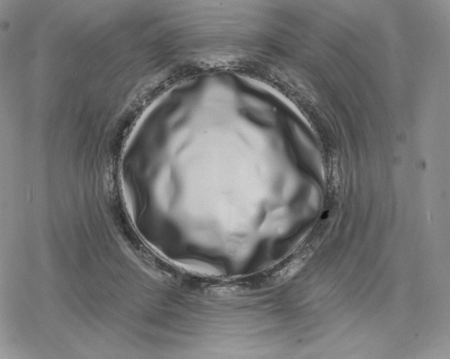X0000078250408200611251308