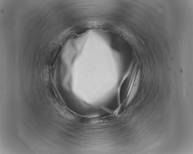 X0000078250413200611251308