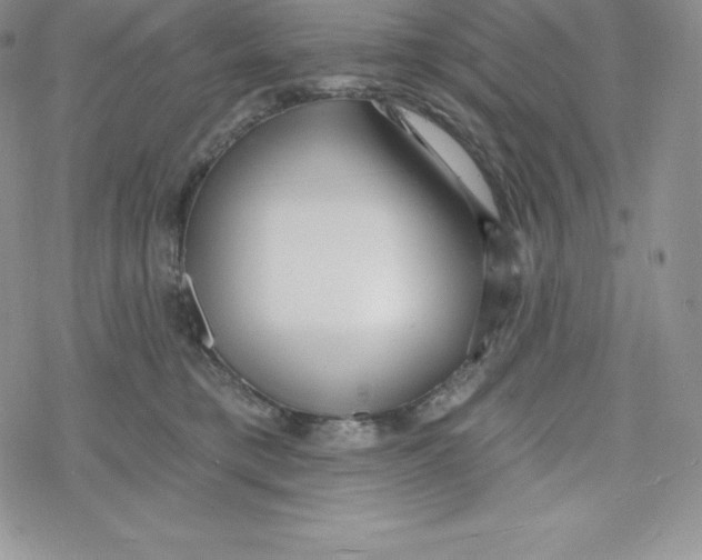 X0000078250421200611251308