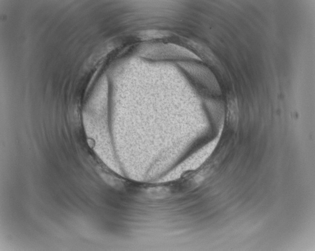 X0000078250426200611251308
