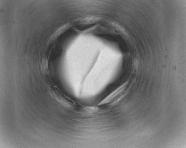 X0000078250429200611251308