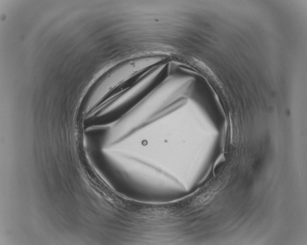 X0000078250435200611251307