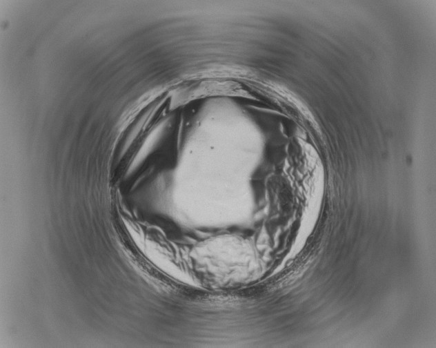 X0000078250437200611251307