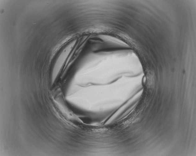 X0000078250446200611251308