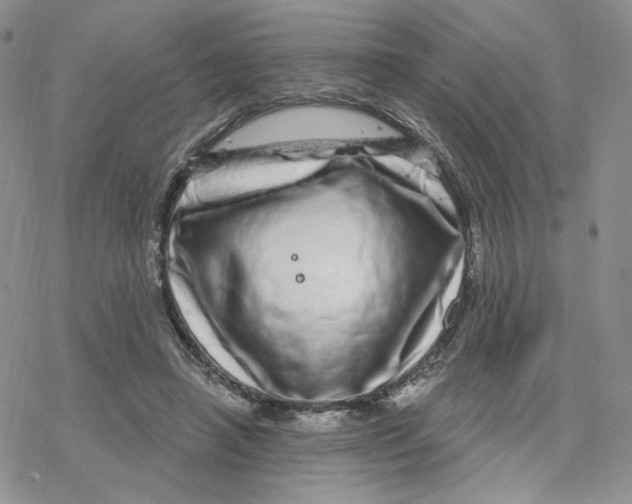 X0000078250450200611251308