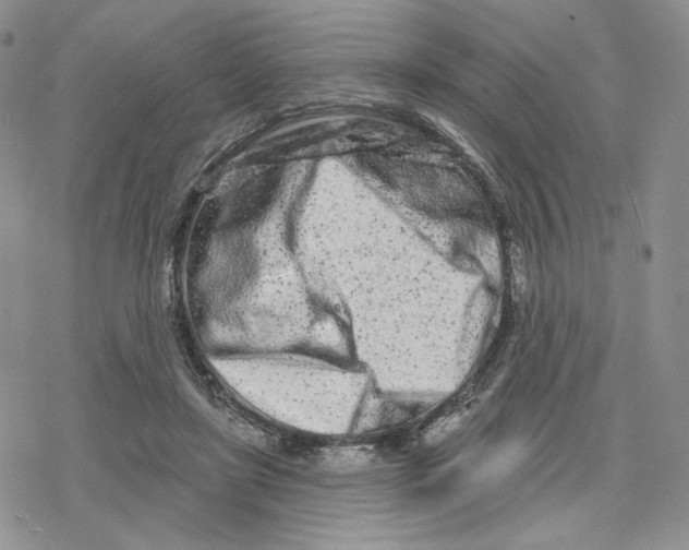 X0000078250451200611251308