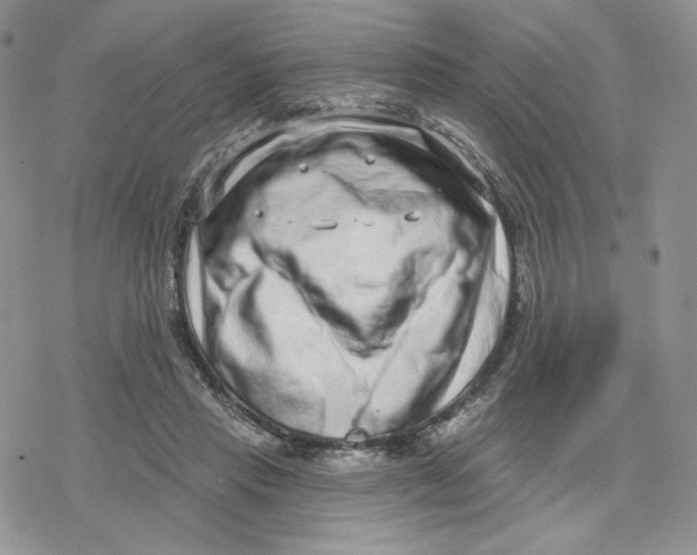 X0000078250453200611251308