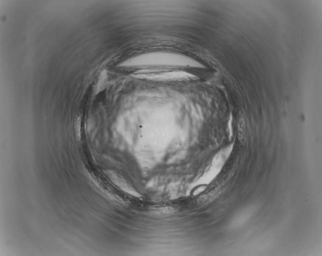X0000078250454200611251308