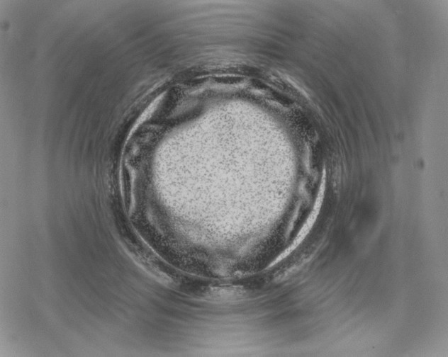 X0000078250455200611251308