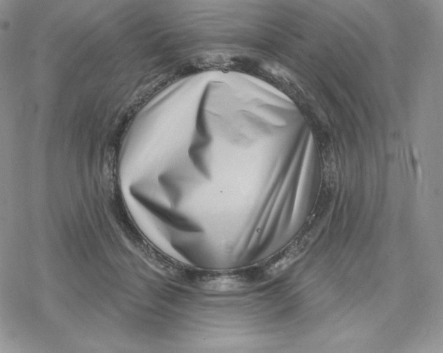 X0000078250460200611251308
