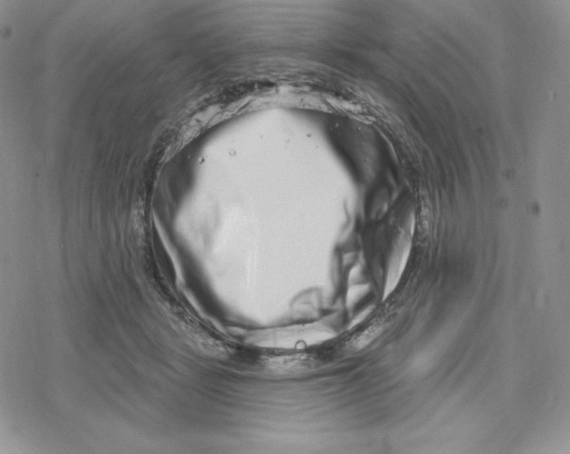 X0000078250461200611251308