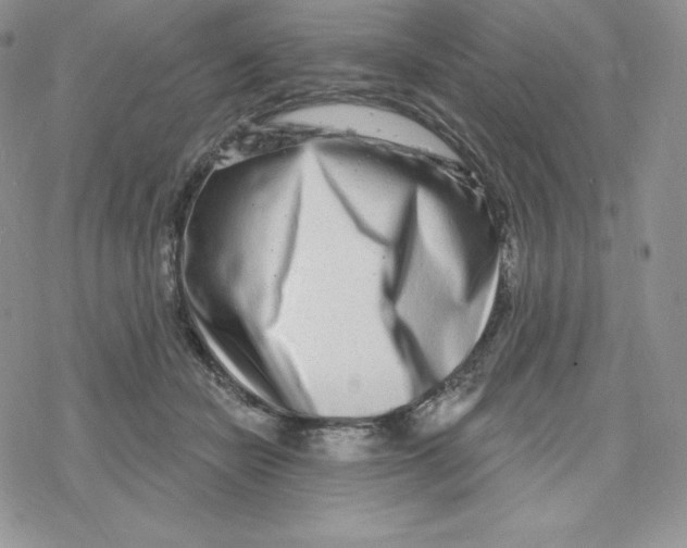 X0000078250462200611251308