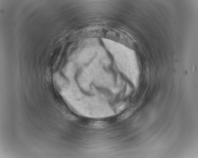 X0000078250467200611251308