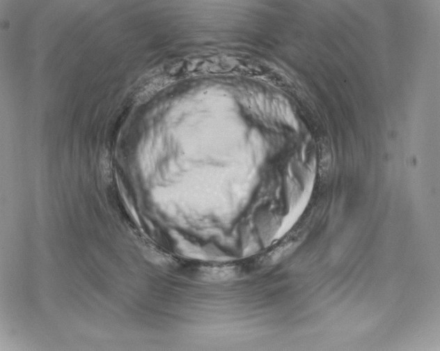 X0000078250469200611251308
