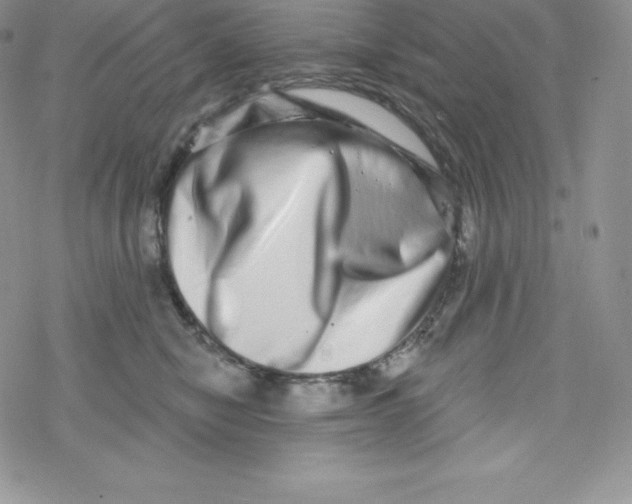 X0000078250470200611251308