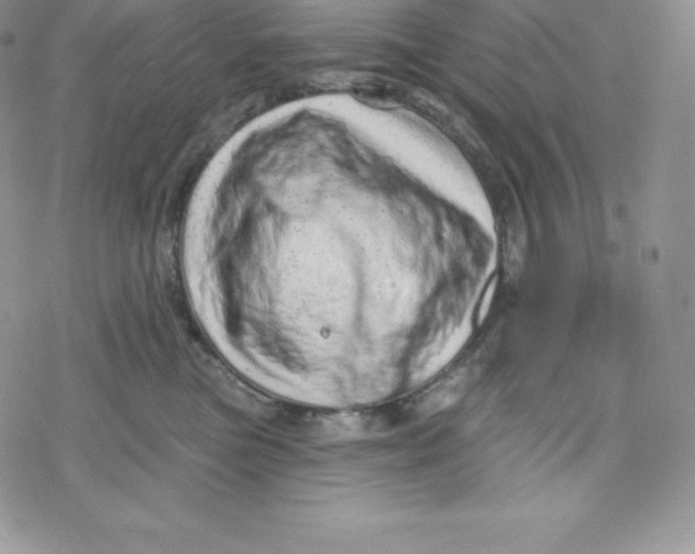 X0000078250473200611251308