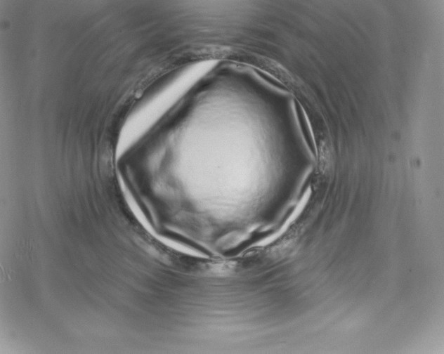 X0000078250474200611251308