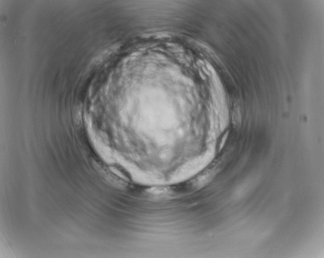 X0000078250477200611251308