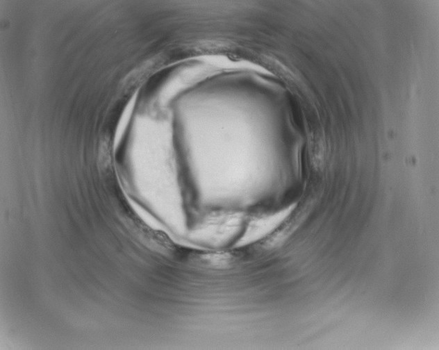 X0000078250478200611251308