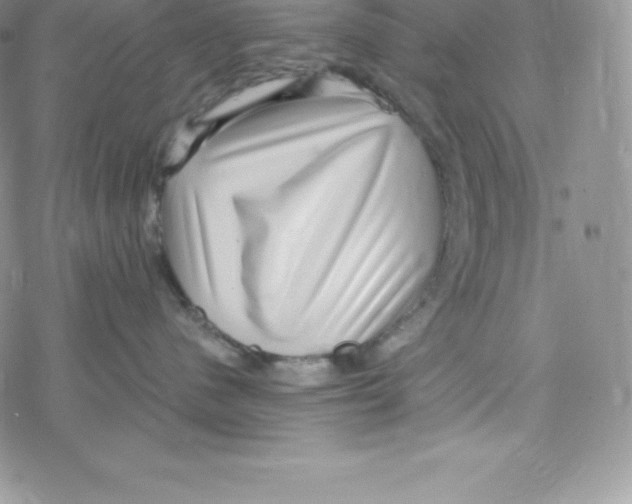 X0000078250480200611251308