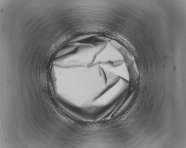 X0000078250489200611251307