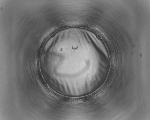 X0000078250491200611251307