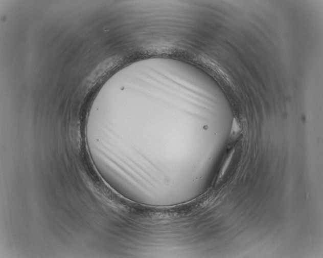 X0000078250494200611251307