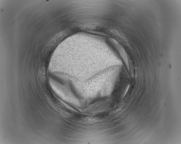 X0000078250498200611251307