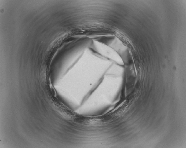 X0000078250501200611251307