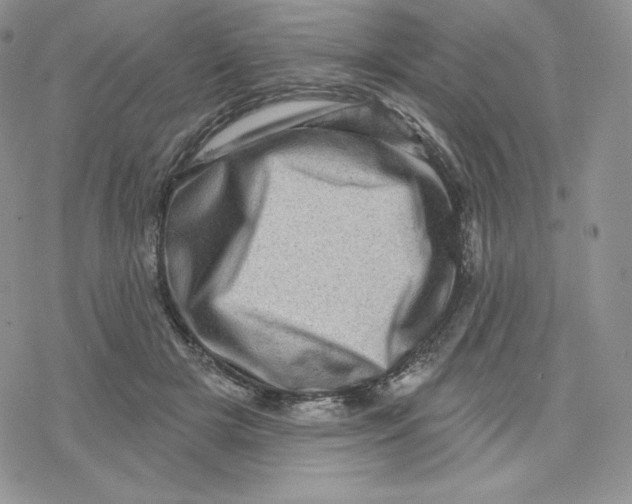 X0000078250505200611251307