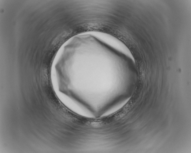 X0000078250506200611251307