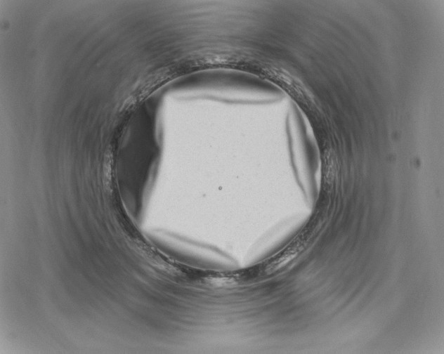 X0000078250509200611251307