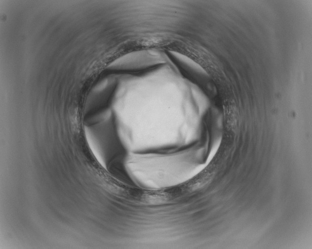 X0000078250510200611251307