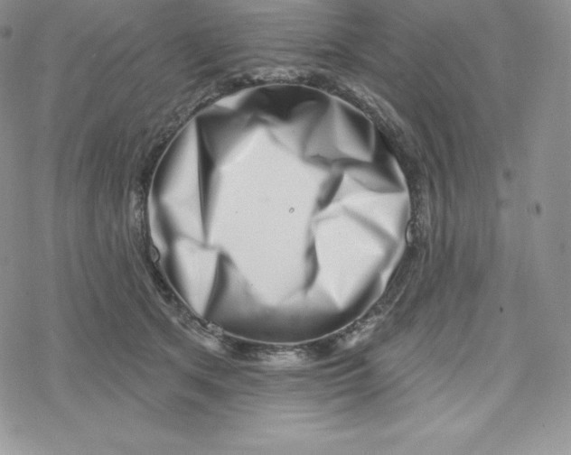 X0000078250513200611251307