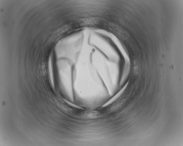 X0000078250514200611251307