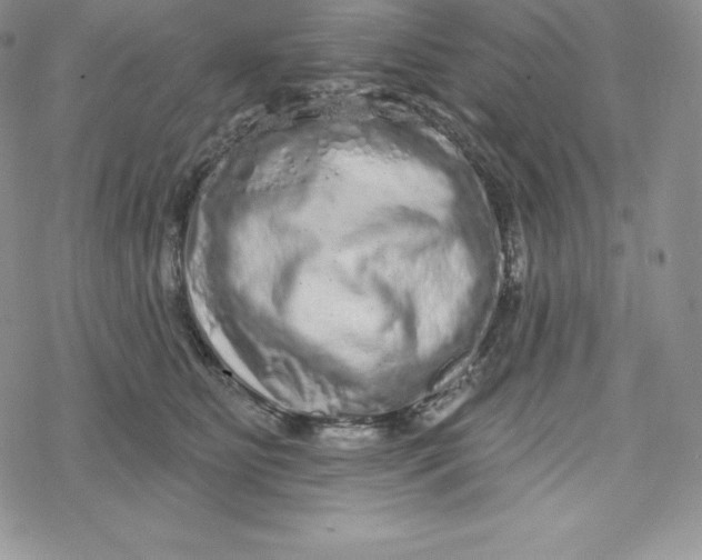 X0000078250515200611251307