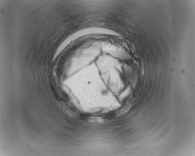 X0000078250519200611251307