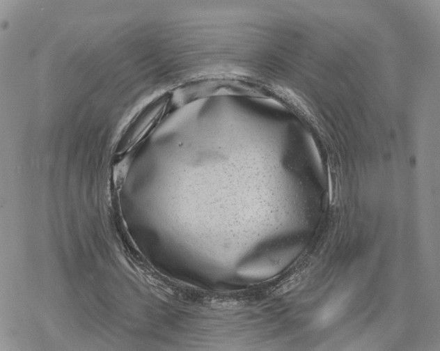 X0000078250531200611251306