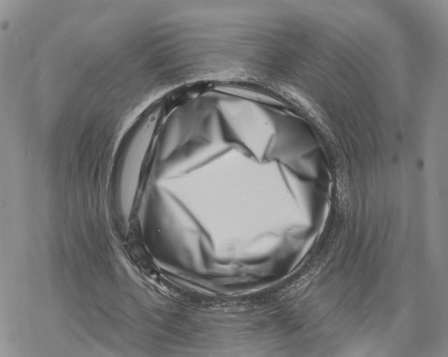 X0000078250532200611251306