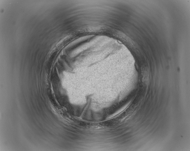 X0000078250542200611251306