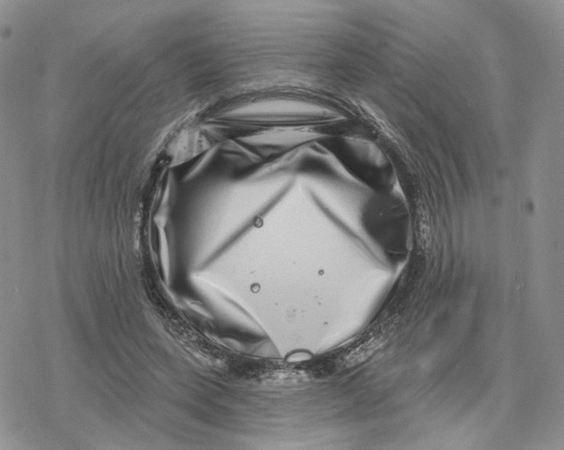 X0000078250543200611251306
