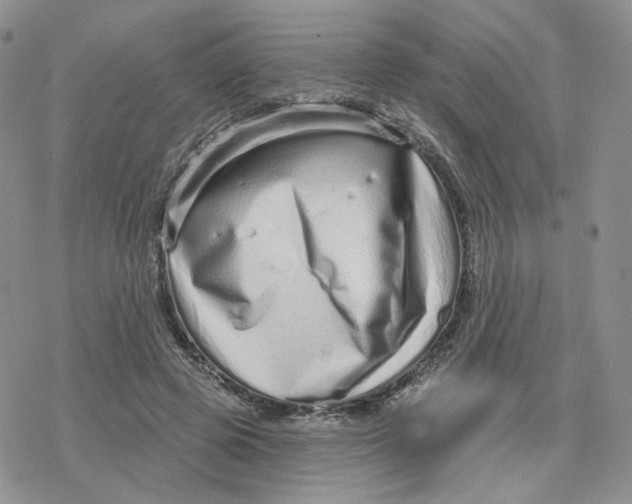 X0000078250545200611251306