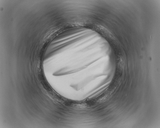X0000078250548200611251306