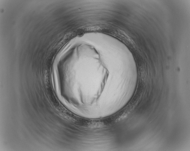X0000078250549200611251306