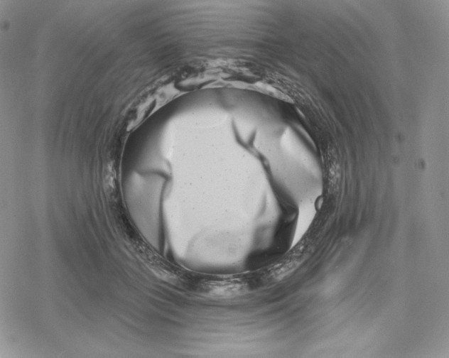 X0000078250555200611251306