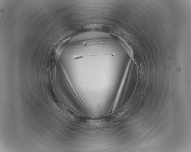 X0000078250556200611251306