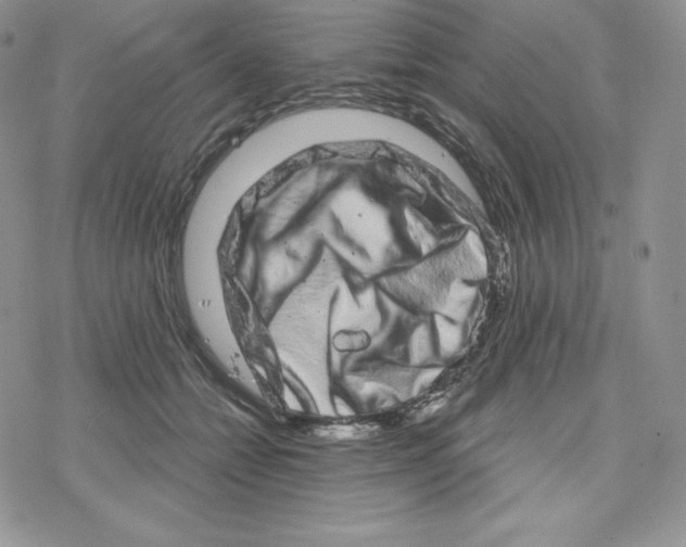 X0000078250558200611251306