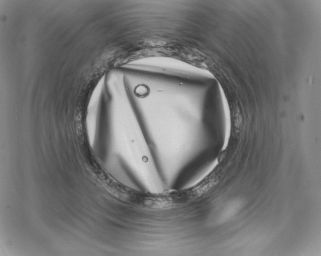 X0000078250559200611251306