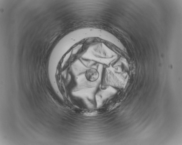 X0000078250560200611251306
