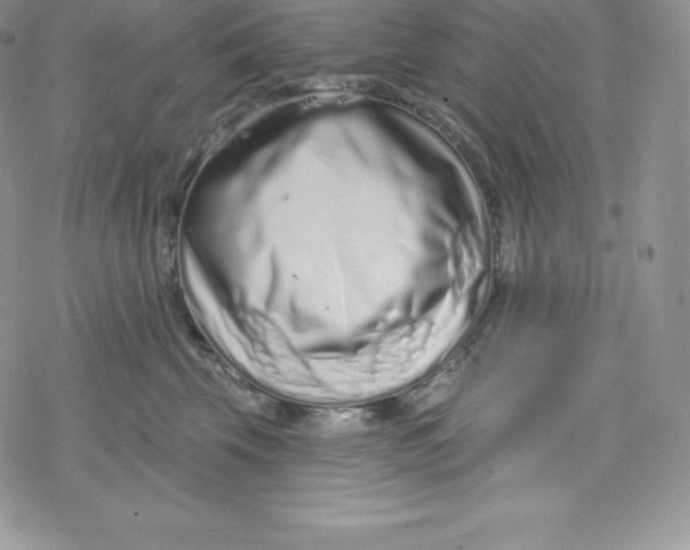 X0000078250569200611251306